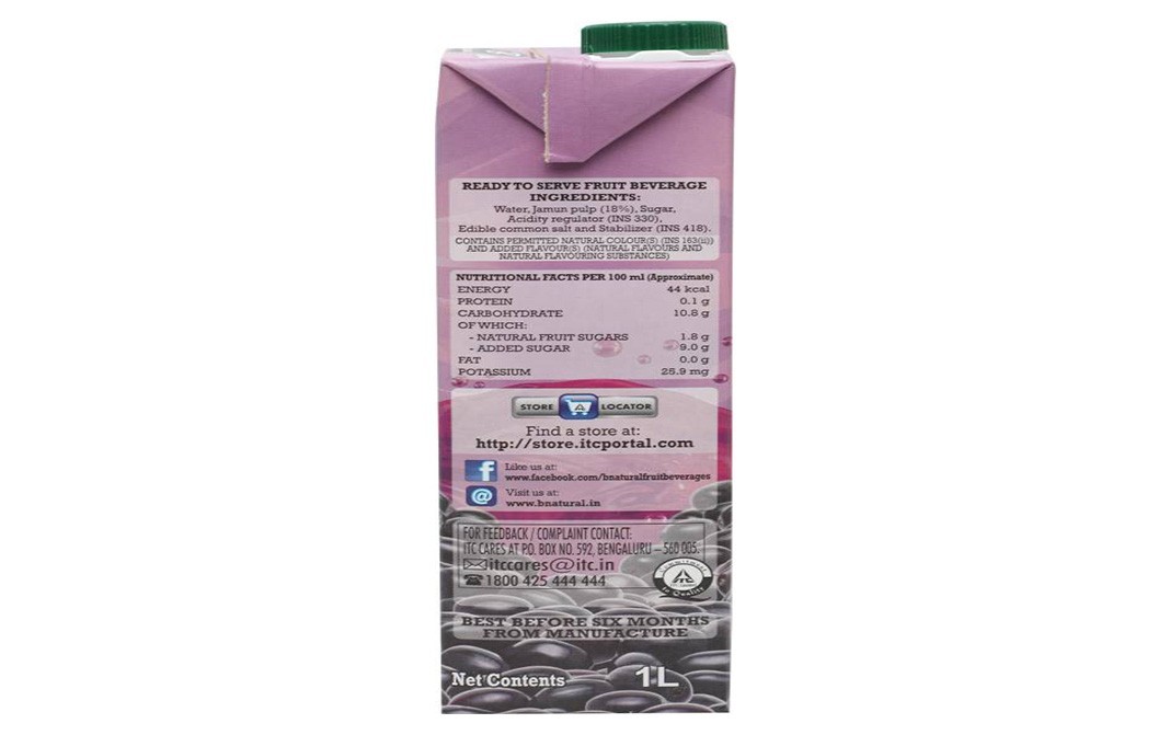 B Natural Masala Jamun    Tetra Pack  1 litre